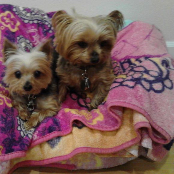 Meet your Posher, Alline - Picture 1 of 1